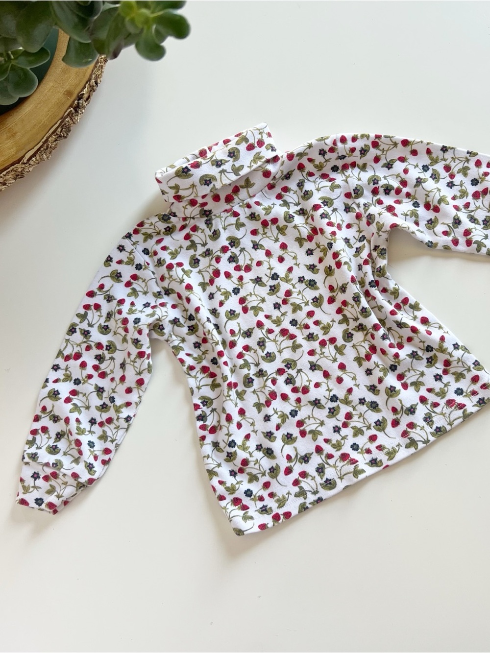 Vintage Fall Creeks Strawberry Turtleneck Long Sleeve Top | Size 2